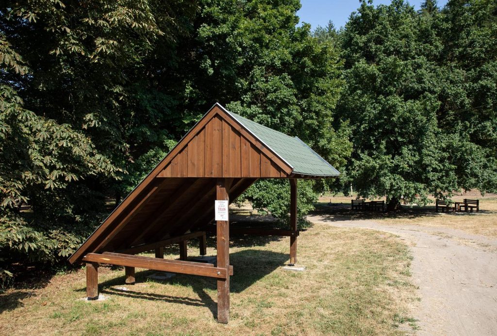 természet