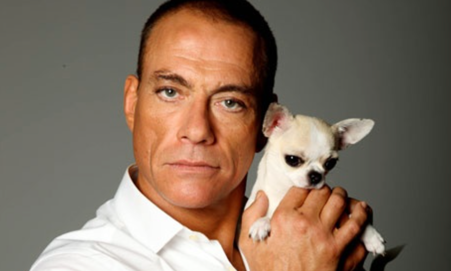 JCVD és kutyája