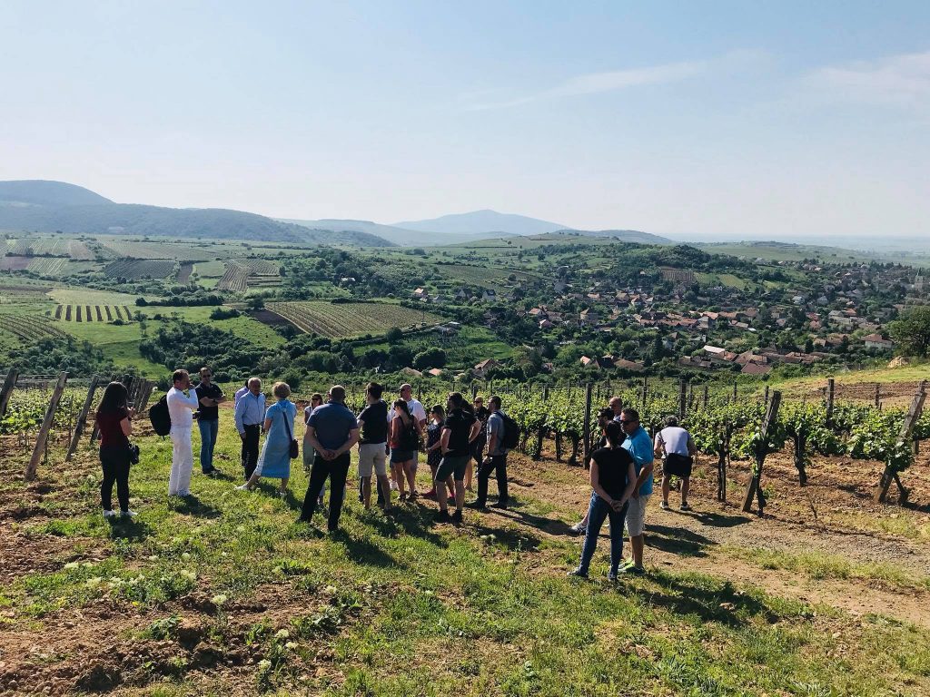 tokaj szepsy