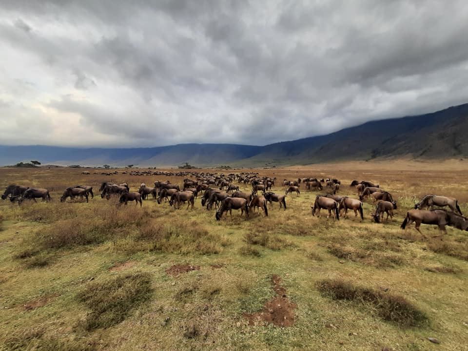 KEZDO_dDani_2021_Tanzania_nes (22)