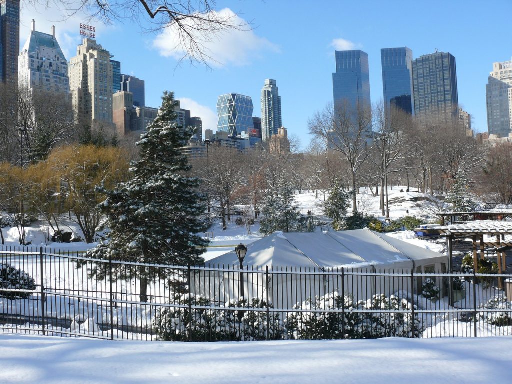 new-york central park
