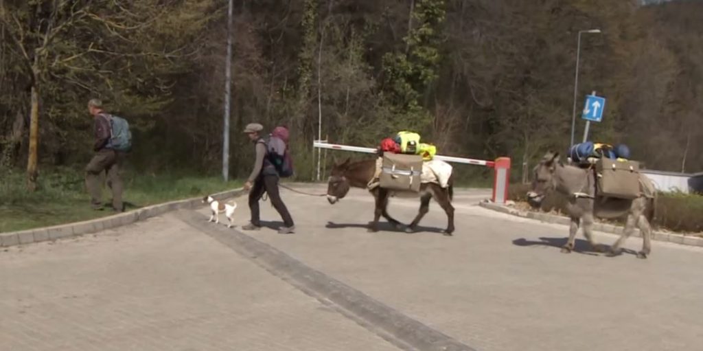 szamár utazás