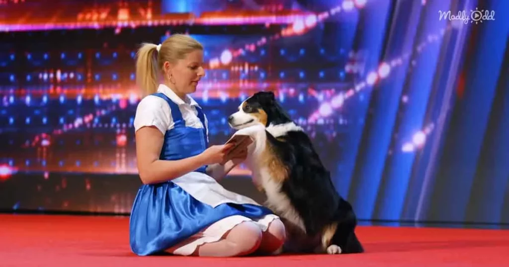 america got talent