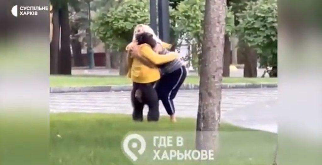 harkiv, majom
