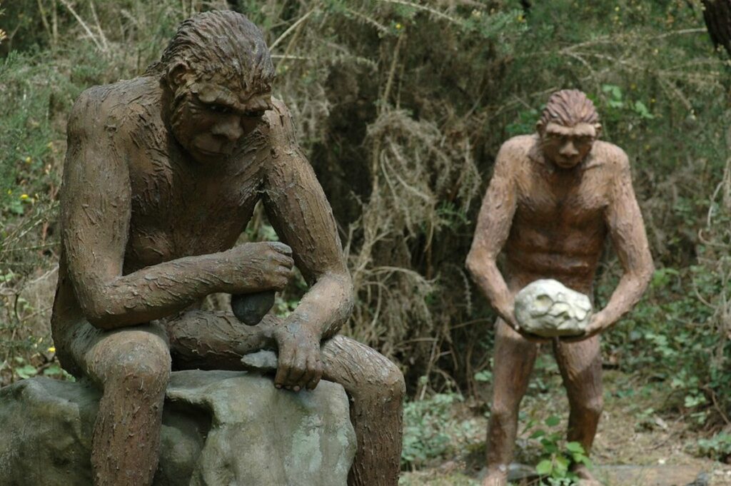 Homo Erectus