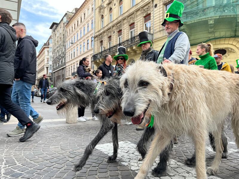Szent Patrik Napja Budapest 2023