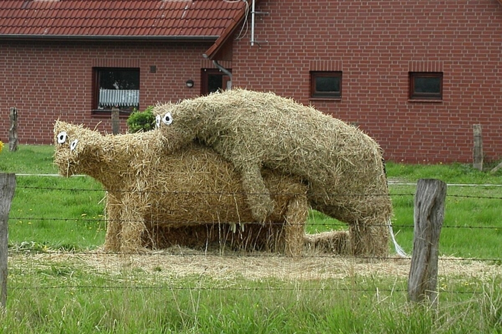 Hancúrozó szalmaállatok