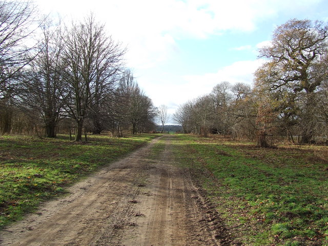 Icknield Way