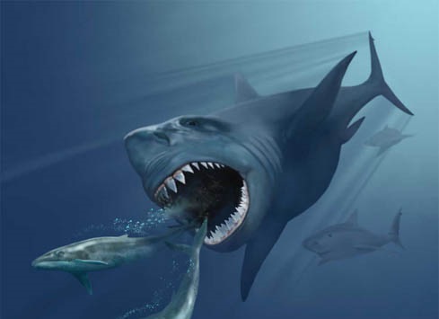 megalodon