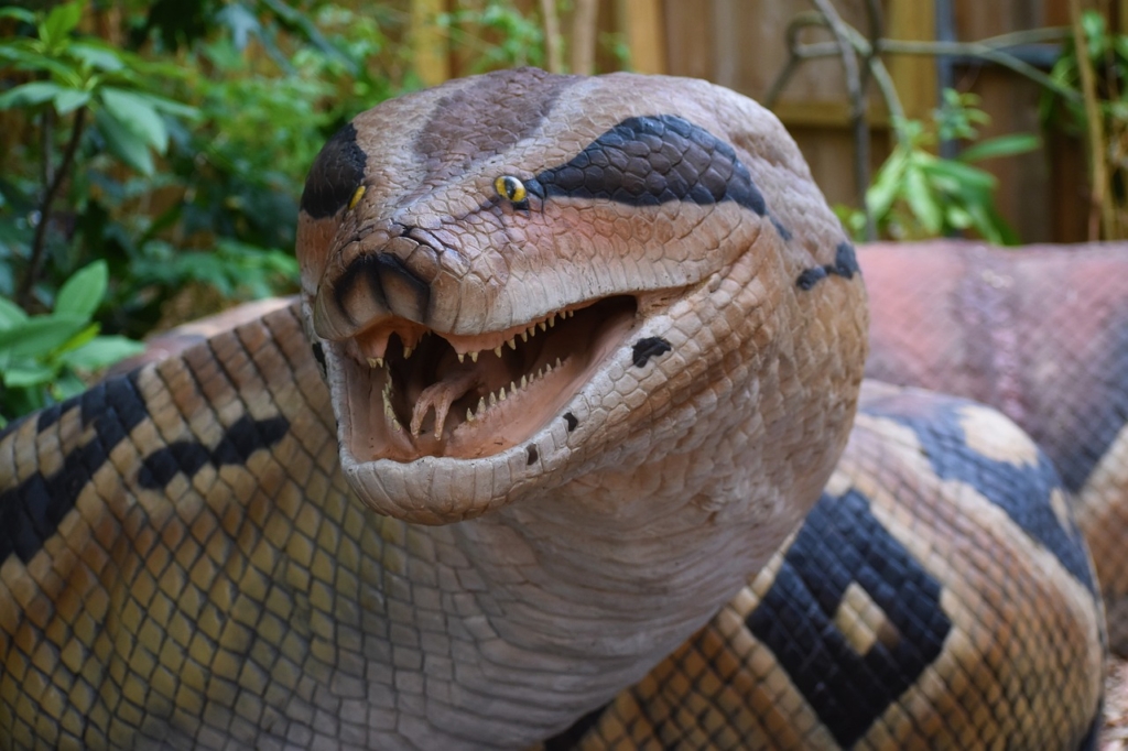 titanoboa