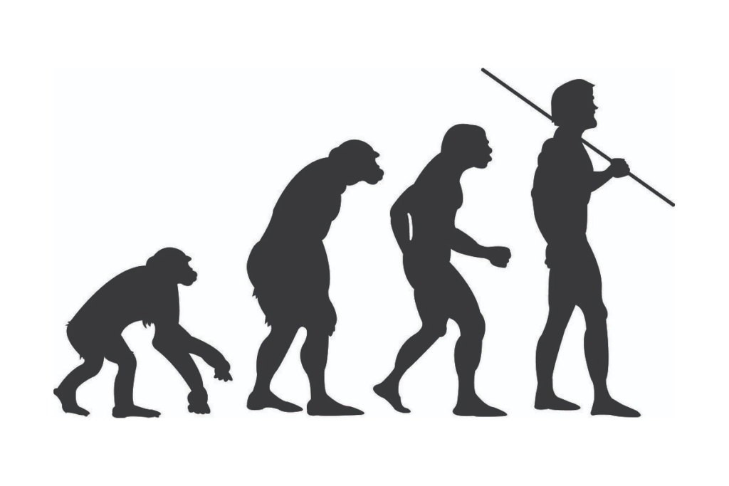 Evolúció