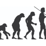 Evolúció