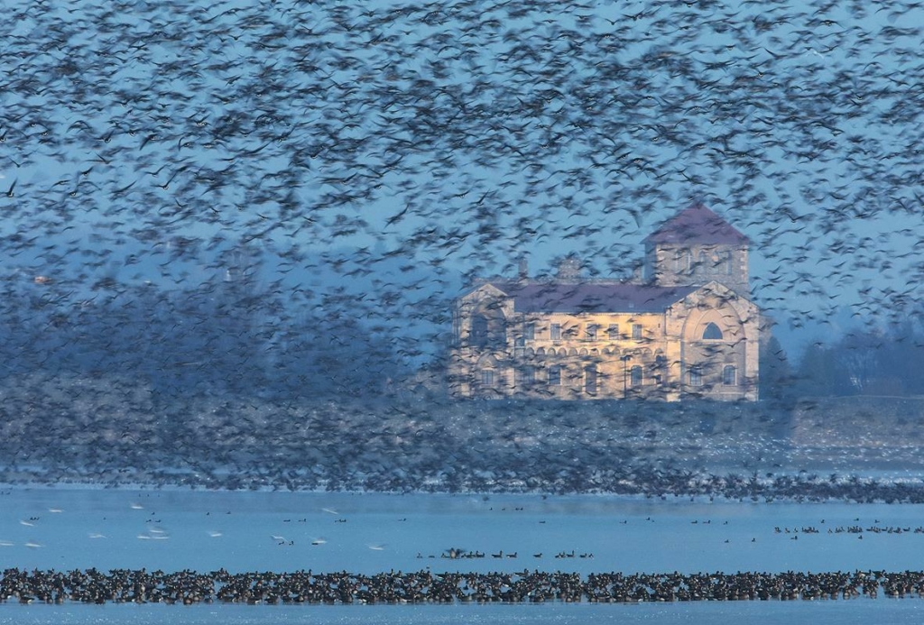 Tatai Vadlúd Sokadalom