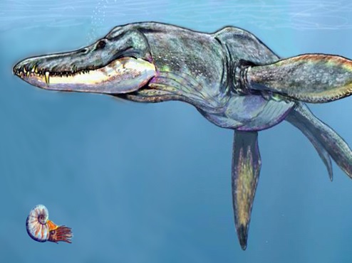 Pliosaurus_rossicus