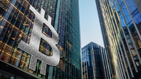 BTC halving