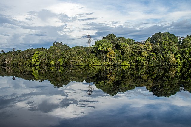 Parque Nacional do Jaú Dalia McGill