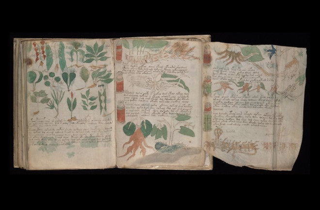 Voynich kézirat