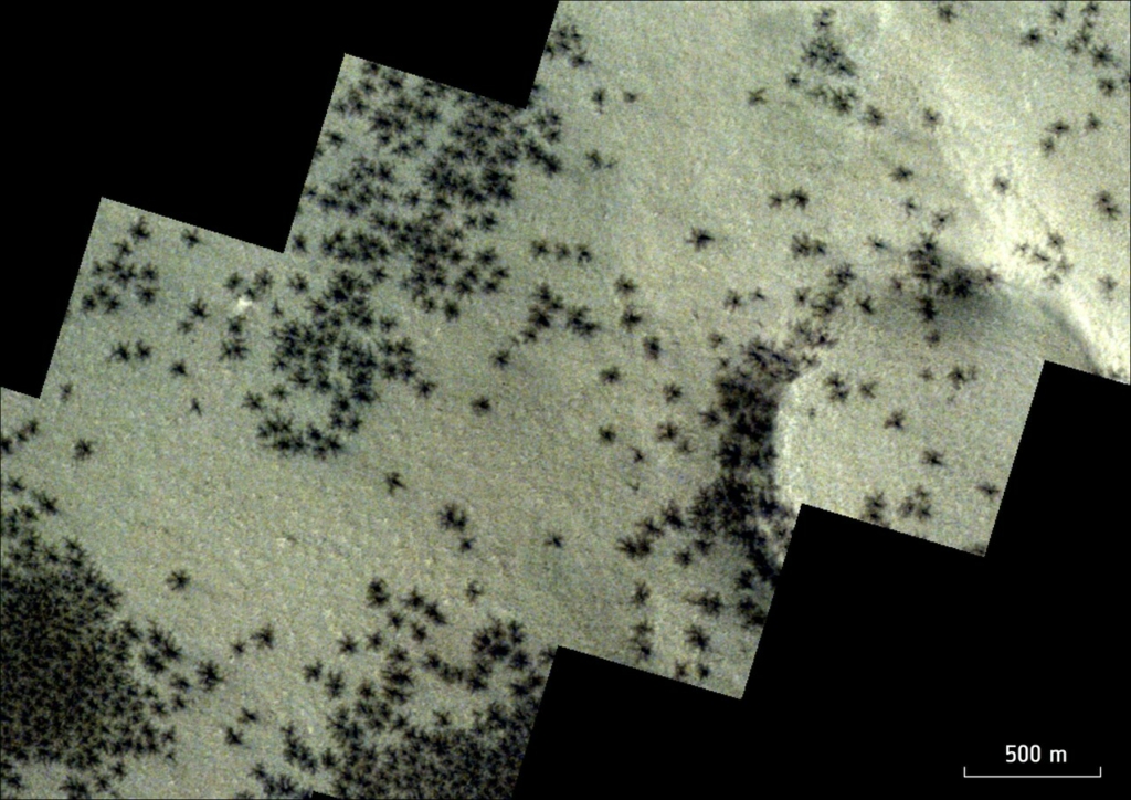 Mars pókok