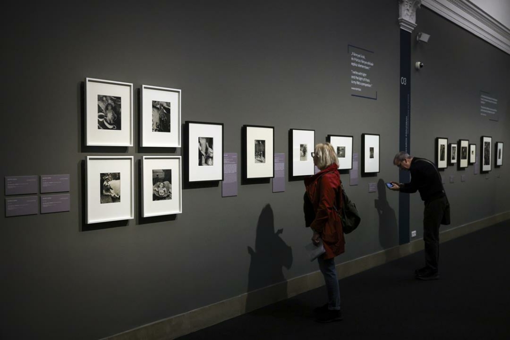 Szépművészeti Múzeum kiállítás