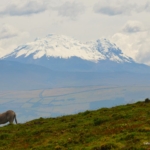 Ecuador