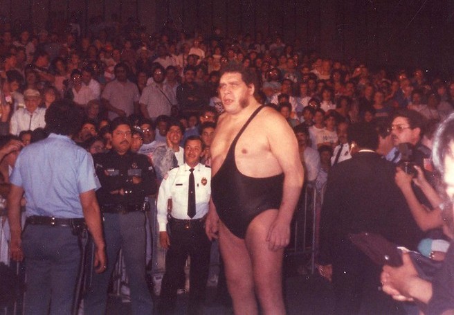 André pankrátor