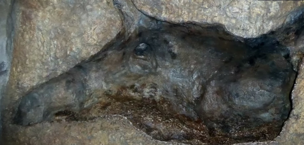 orrszarvú barlang
