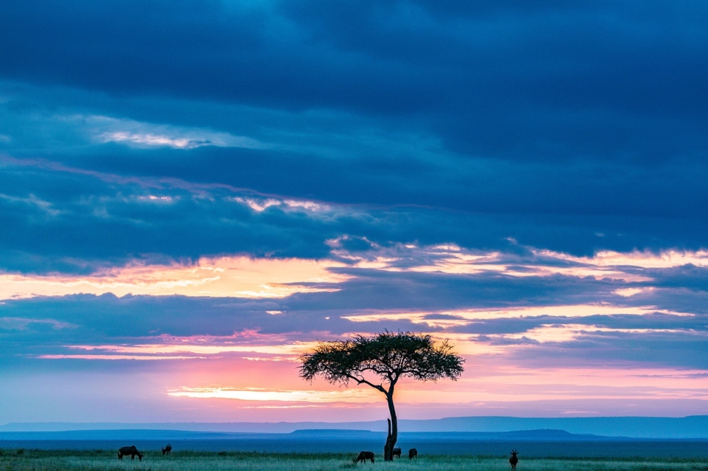 szavanna afrika emberiség