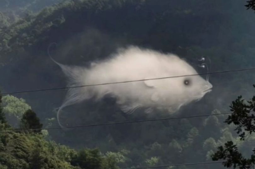 teszt