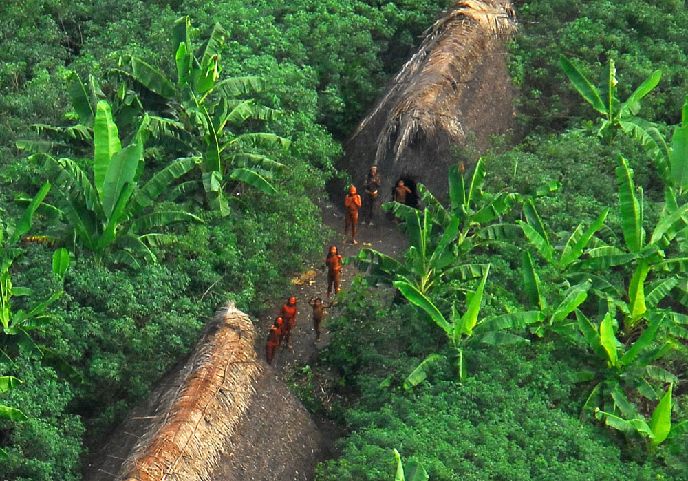 elszigetelt törzs amazonas illegális fakitermelés