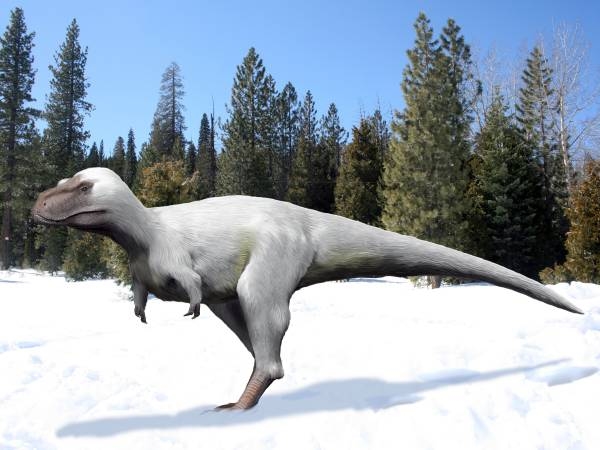 Nanuqsaurus tyrannosaurus