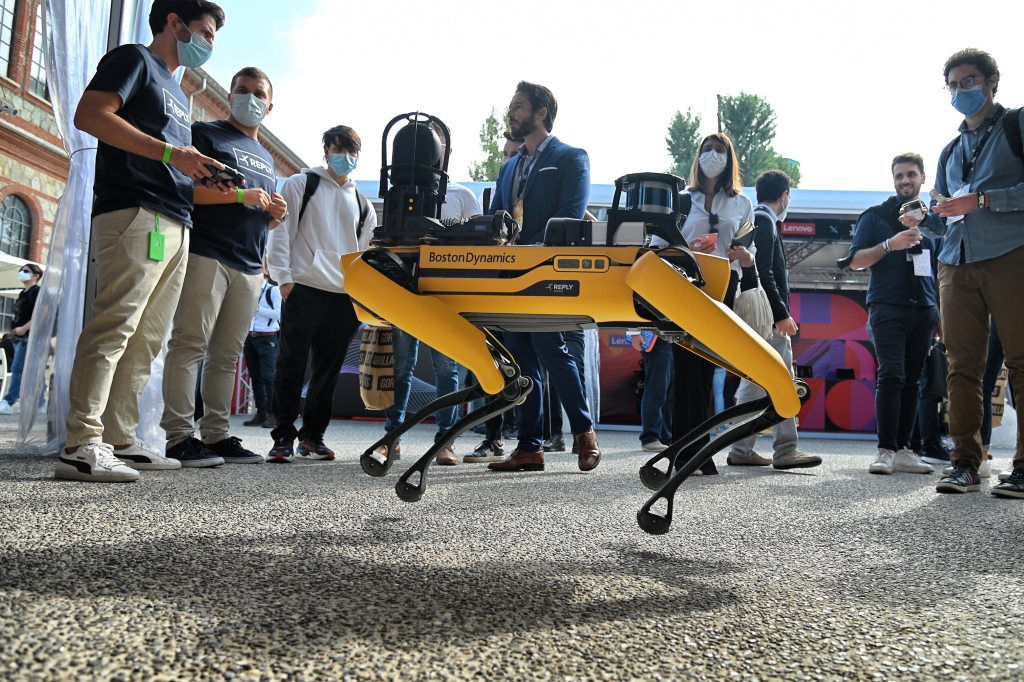 robotok robotkutya