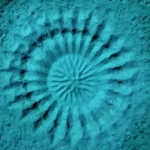 gömbhal kör minta tenger