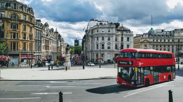 Nanushka London Wizz Air