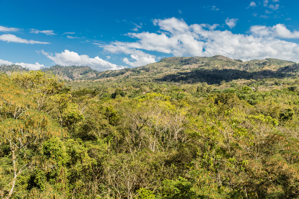 Honduras faj