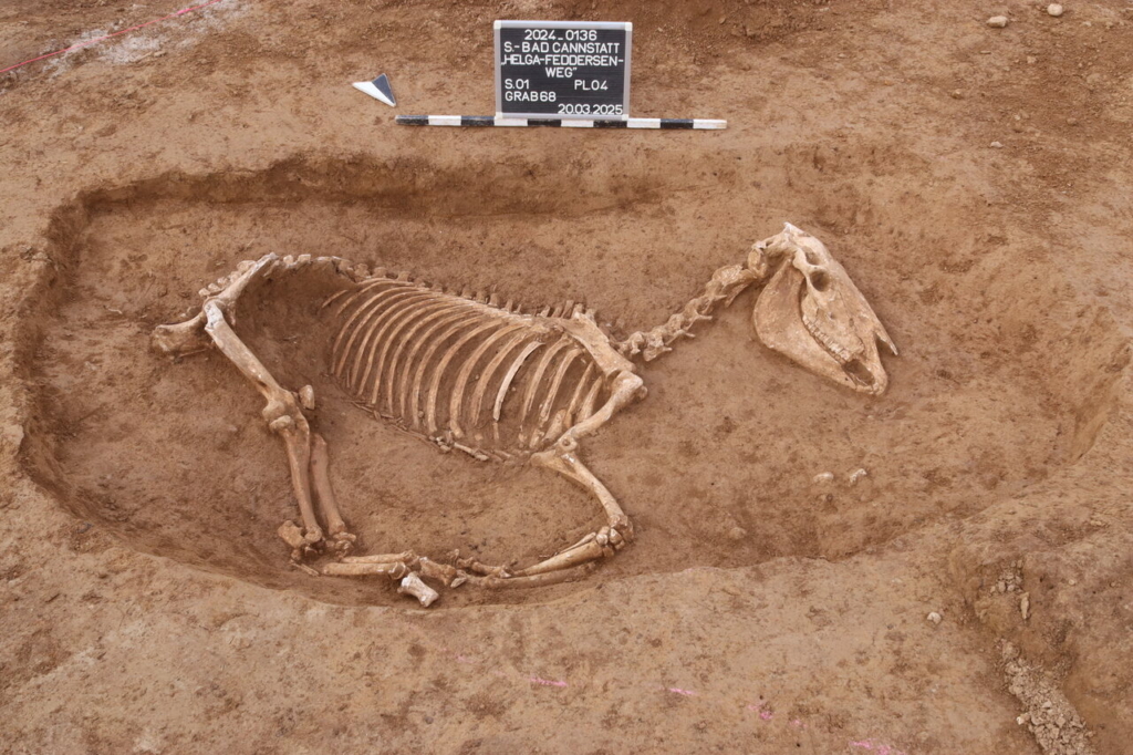 stuttgart ló csontváz temető római kor