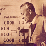 Szentgyörgyi Albert, magyar tudomány, Nobel-díjas, C-vitamin, tudós