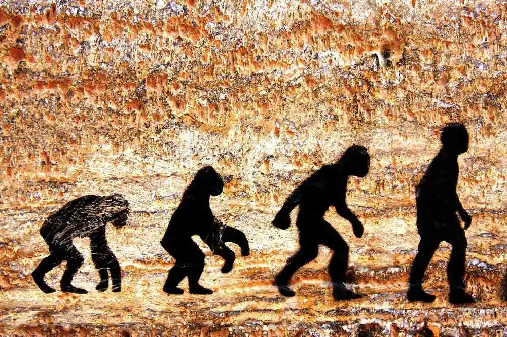 Első Afrikát elhagyó ember