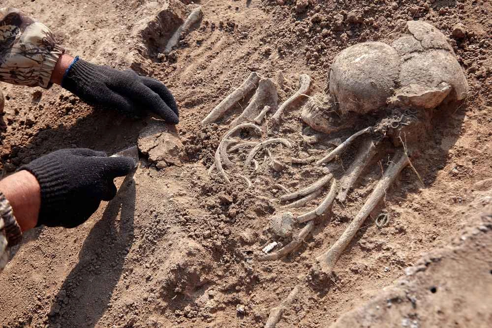 Homo habilis csontváz felfedezés