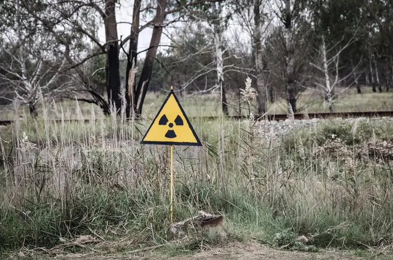 Csernobil atomkatasztrófa sugárzás genetika