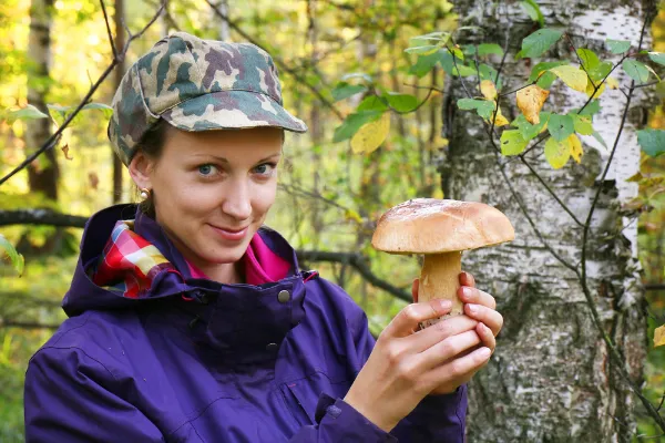 Rákosi és a gombák gomba
