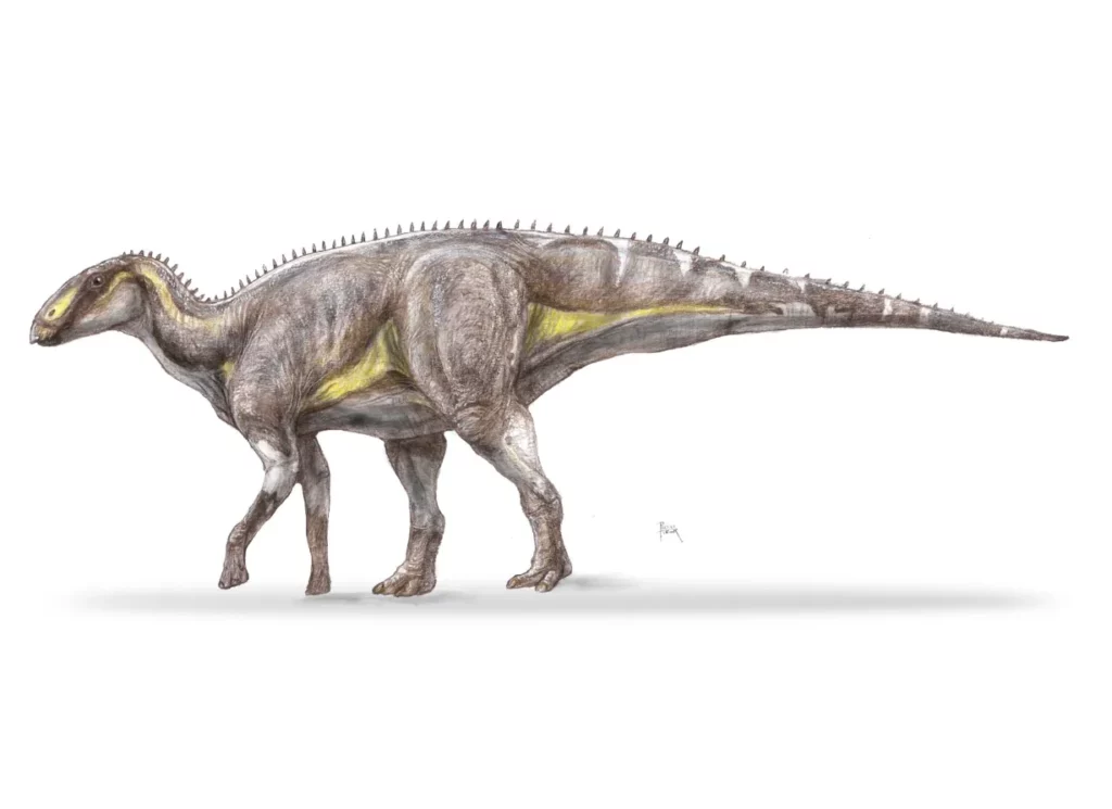 Magyar kutatók új dinoszauruszfajt azonosítottak